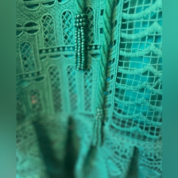 FARM Rio Green Morada Boa Guipure Lace Maxi Dress - Picture 11 of 16